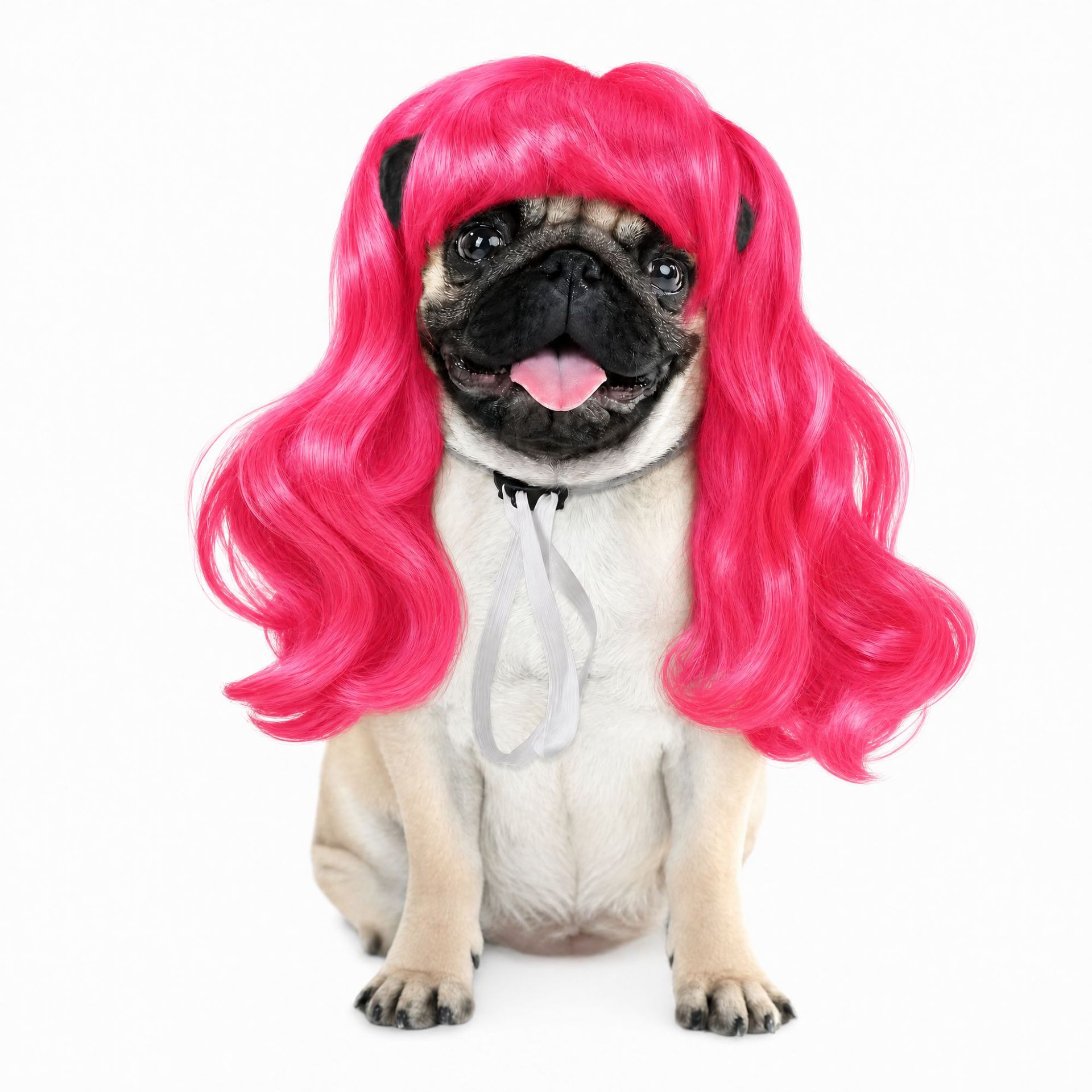 Peluca para Mascotas de Fibra de Alta Temperatura Decorativo para Halloween