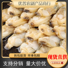 �������r������󻨼��⻨��o���oɳ�S͘�������r��Ǹ�؛����