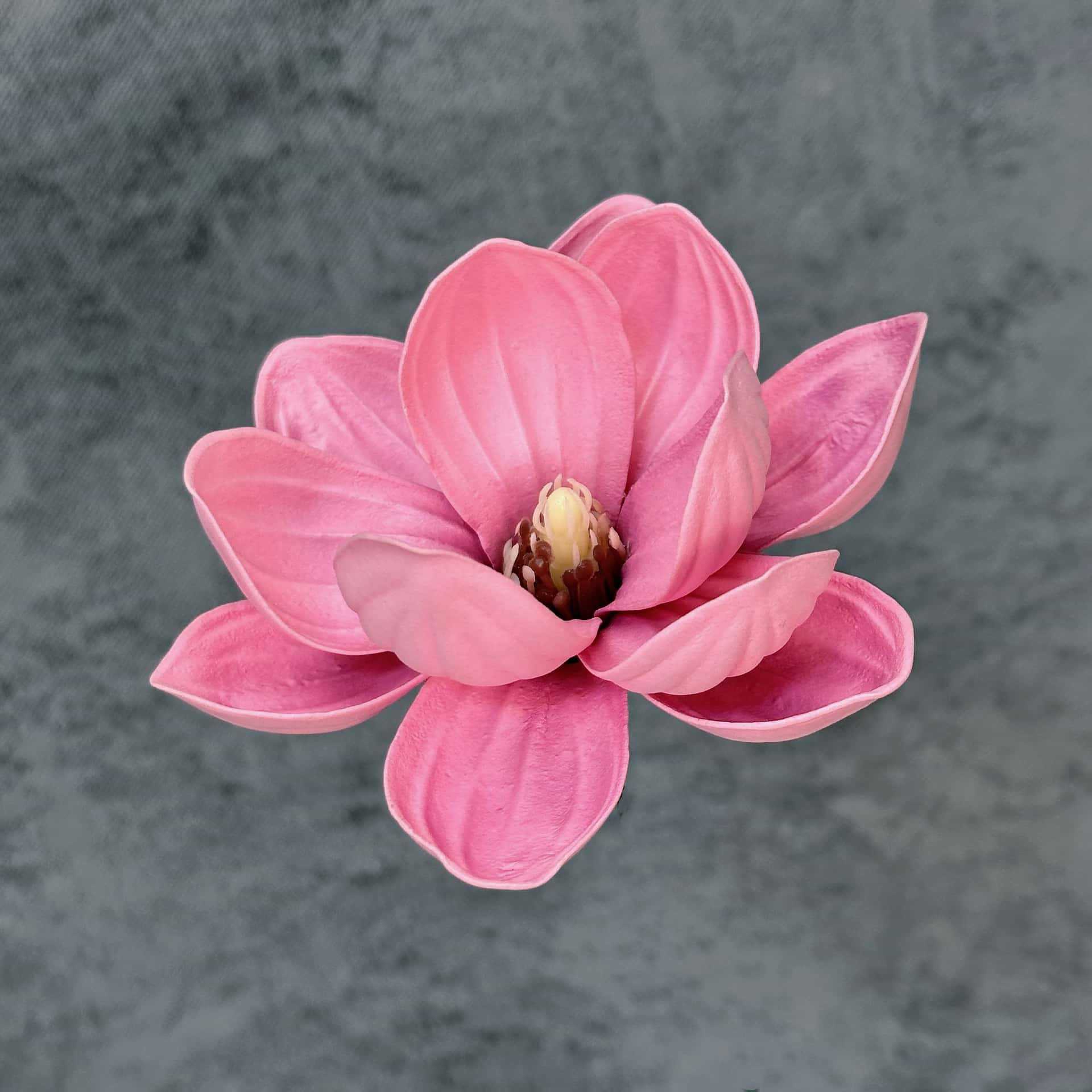 Flor de simulación transfronteriza EVA cabeza de magnolia 13cm tacto tocado kapok decoración decoración decoración flor falsa al por mayor