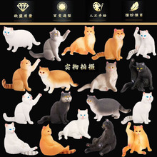 �羳���挍�Č���؈��ģ�ڰ�؈��؈��ë؈��@؈�m؈�������k�[��