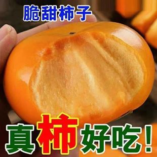 �����ɿ������������rˮ���Fժ�F�l��������Ӳ�t��5��������]