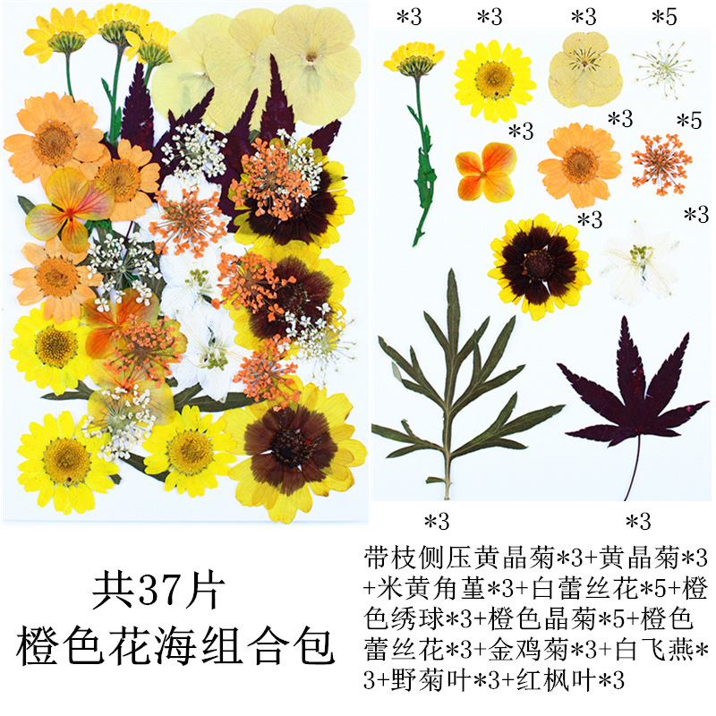 Paquete de material de estampado de flores secas Paquete de combinación de flores presionadas Flor real Hoja de espécimen pegatinas