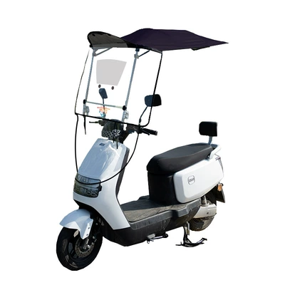 and Rainproof Factory Direct Sale | Elektromobil üçün ön şüşə çətiri (günlük)