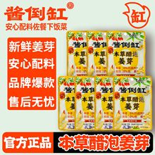 本草醋泡姜芽枸杞添加下饭菜药食同源生姜腌制泡姜仔姜厂家直供
