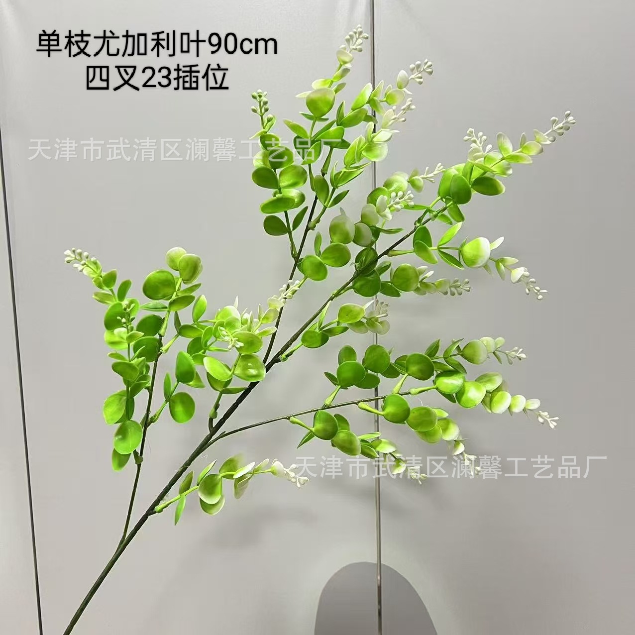 원색 유칼립투스 잎