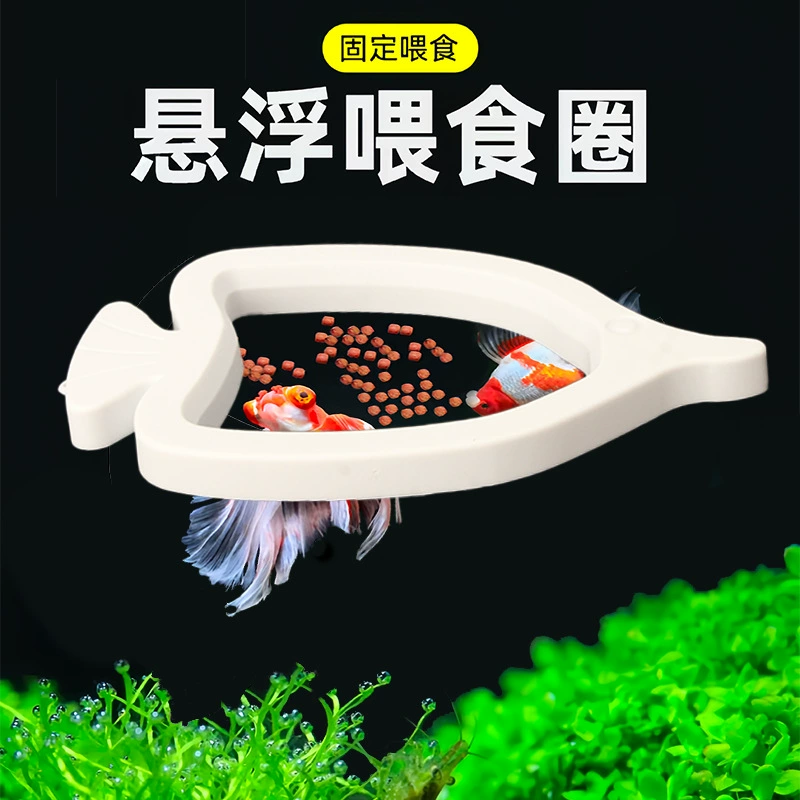 Кольцо для кормления Aqua Fish Tank Кормление корма для рыб Большая плавучесть Подвесная плавающая кормушка Тип рыбы Подвижная плавающая кормушка