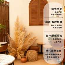 ٻ[Op҃ȽJȔbؔ[۾^쾰