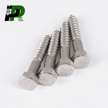 DIN571ľ�ݽz304/316���P�������ľ���Թ��������ľ��˨