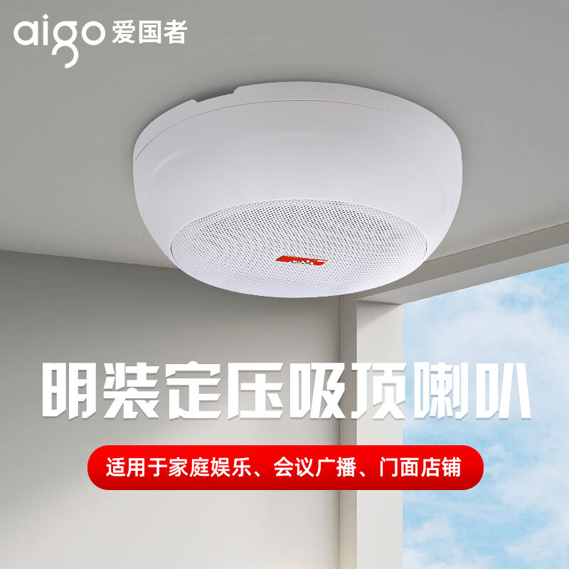 爱国者明装吊顶天花吸顶喇叭音响定压功放套装室内悬挂用店铺专用|undefined