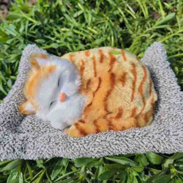 Decoración interior del automóvil adornos de automóviles carbón activado para dormir gato muñeca bolsa de carbón de bambú para gatos para eliminar formaldehído para eliminar el olor de carbón de bambú gato image 4