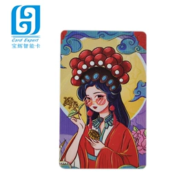 IC卡;其他智能卡