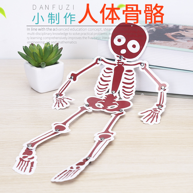学生DIY人体骨骼手工发明科技小制作科学小实验套装材料塑料材质