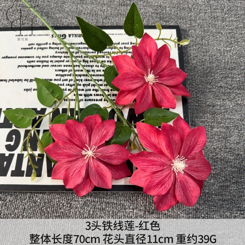 Tres Clematis