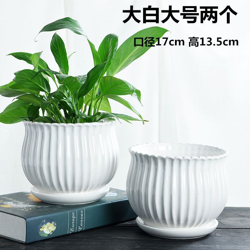 Pot de cerámica blanca simple, precio especial, gran tamaño extra grande con bandeja, personalidad doméstica, orquídeas colgantes verdes, carne
