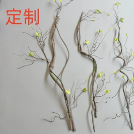 仿真绿植;仿真藤条;塑料工艺品