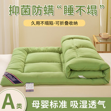 �羳���Q�����������؏�ܛ���|���������ļ����ۯB���˴����Ӊ|
