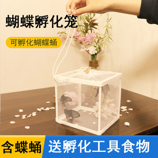 ����Ӽ�ɷ�����B�Ѓ�ͯ�W�������^������Ӽ�O�ɵ��Y���