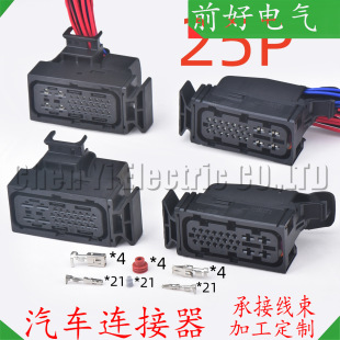 25���B����1K0973213 1H0973327A�m�ÊW�����p�x��׃���䲨����^