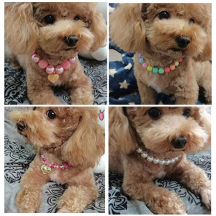 European and American Cross-Border Pet Accessories Pearl Dog Leash Collar Dog Pet Necklace Pet Necklace Jewelry