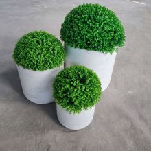 ؾGֲV ɫyAλ̨ʽwSSN