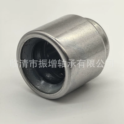 F-212285.2 Automotive Engine Gearbox Clutch Needle Roller Bearing