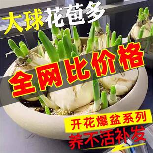 ����Ʒ���x��ˮ�ɻ��N��ˮ�B���Զ༾�_����ֲ���҃ȾGֲˮ����B