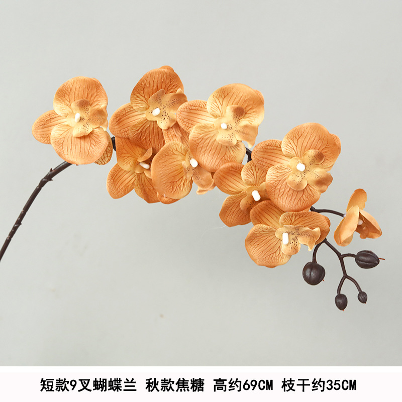 Short 9-prong phalaenopsis autumn caramel