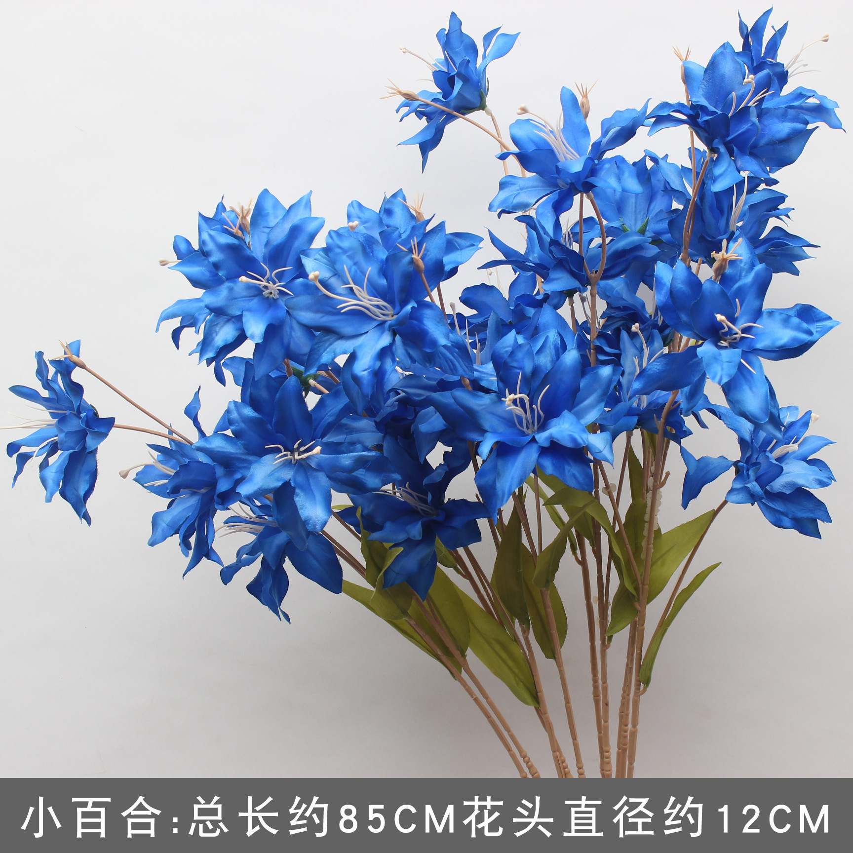 SILI/1 지점