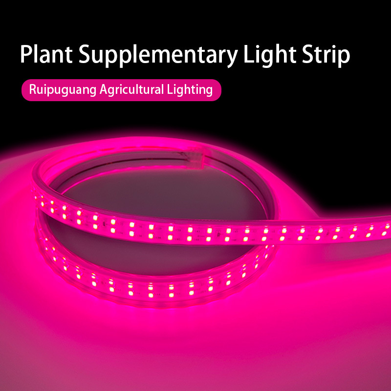 Plant growth light fill light LED succulent grape growth coloring…