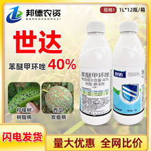 �����_ 40%���Ѽ׭h���Ч����̿�Ҳ����ʘ��֬���r��ș������