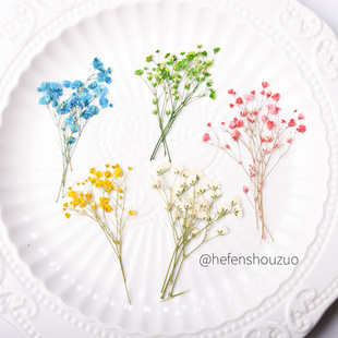 ƽ�扺���滨������ɫ�M���Ǹɻ� ���z�ɻ��֙C�� ֲ��˱�10֦�b