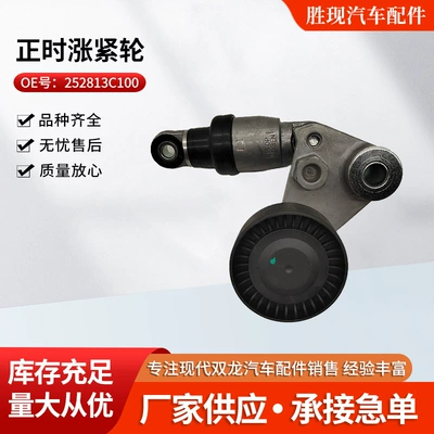 252813C100 252813C600 Is Suitable for Santa Fe Veracruz Sorento Timing Belt Tensioner (Other starting systems)