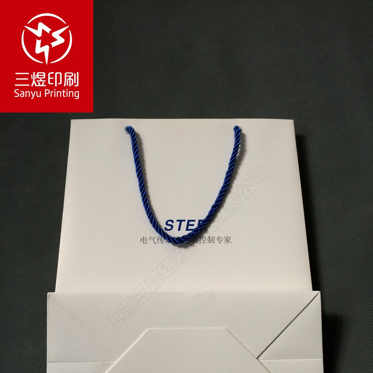 展会宣传手提袋  时尚礼品袋 宣传资料袋 厂家促销手提袋 CH9145