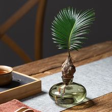 ˮ��ֲ���F�����Բ����������p���҃������k�����B�Gֲ�ļ�ˮ�B