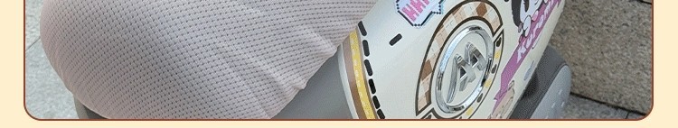 Universal Electric Scooter Backrest Cover for Yadea, Aima, Tailing, Xiaodao, Luyuan, Sun Protection, Electric Scooter Decorative Accessories