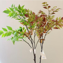 �ٻ���Gֲ44��������滨����[���辰��������÷���ֲ��߷���