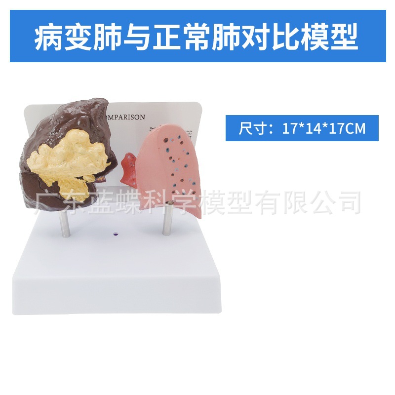 ��Ȼ��������ķ�ģ�ͺ�����״�ٷ��������ϵͳ�β�������ʽ�ѧ