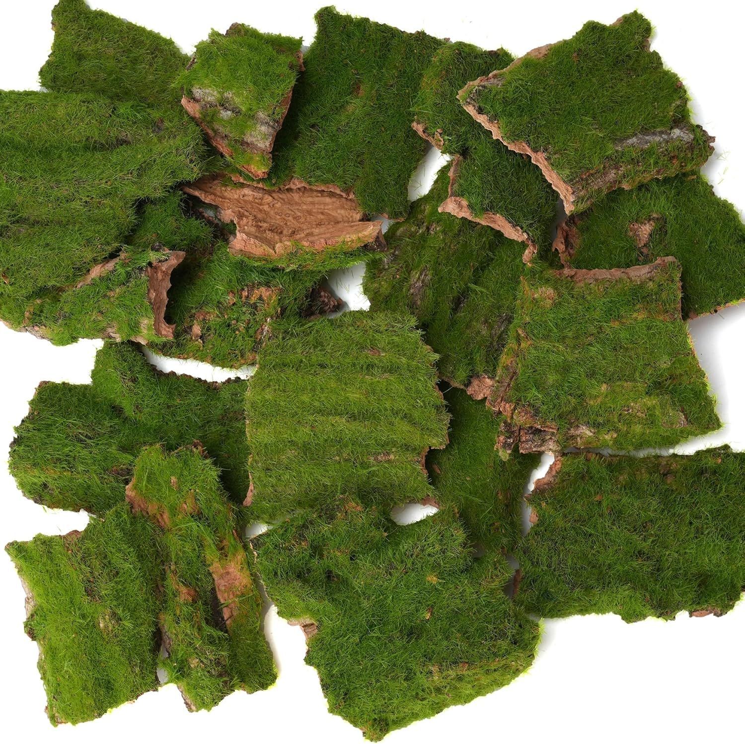 Moss bark