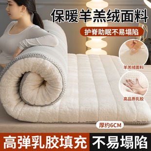 Winter Lamb Fleece Latex Mattress Cushion Household Thickened Bedroom Bed Mattress Dormitory Student Single Mattress Cushion