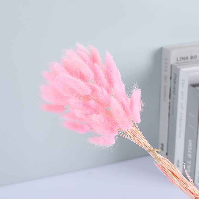 La flor eterna de la flor de la cola de conejo hierba seca 60 piezas al por mayor Dogtail hierba seca ramo de flores decoración DIY conejo hierba de la cola