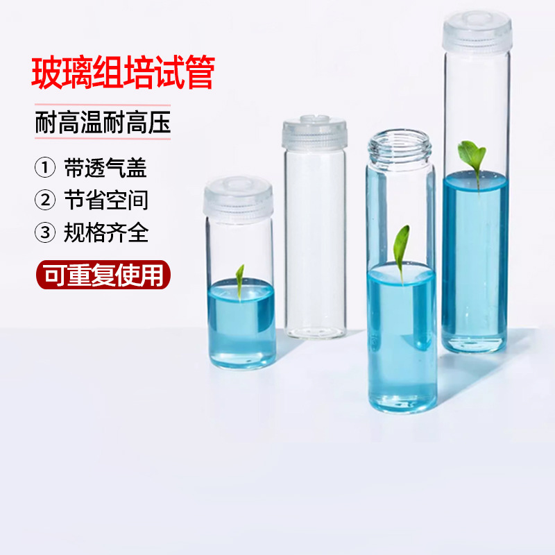湘玻玻璃组培试管高硼硅玻璃耐高温组培瓶无菌菌种瓶带透气盖