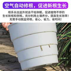 Meishi root-control flower pots are breathable and root-proof, plastic large gallon bee buckets, Phalaenopsis orchid aloe vera rose hydrangea special pots