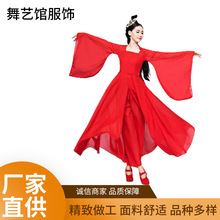 古典舞演出服女飘逸中国风凉凉舞蹈服现代仙女汉服红昭愿古装成人