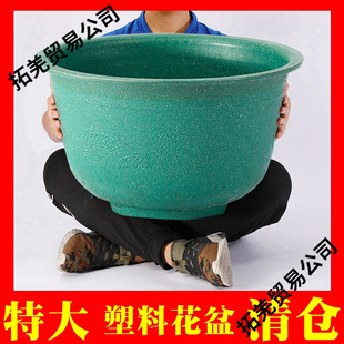 ���ψA���賬�ش�̖��aͥԺ�N���������z��Ӻ�����؃r��}���]