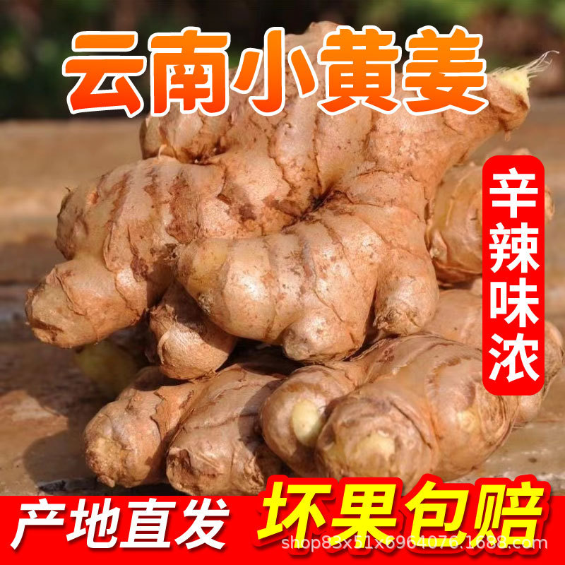 Yunnan Small Turmeric Fresh Wholesale Ginger Old Ginger New Ginger Fresh Ginger 1/2/3/5/9/10 Dropshipping