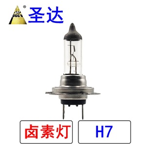 Cross-Border Spot H7 Halogen Lamp Car Headlight H7 Car Halogen Lamp White Light 12V55W 100W H7