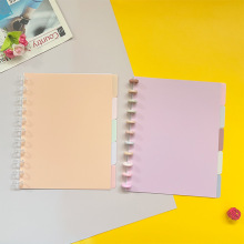 外贸尾单工厂批发Letter Size彩色索引页活页分隔塑料片笔记本内