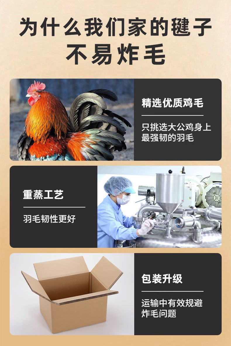 fdaec4b5-0608-4600-951c-1711a06617b0.jpe