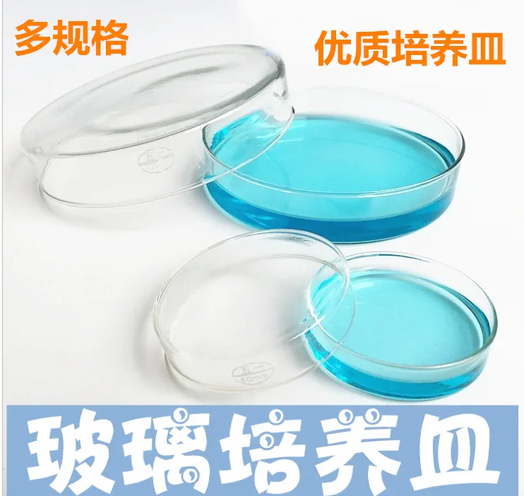 j8平皿20环球81150800高硼硅玻璃细菌g3耐高温培养皿实验90包邮g3