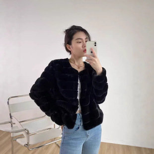 �F؛2026�¿�r�К��|�����L�p�ݶ̿�С�����ýqƤ������